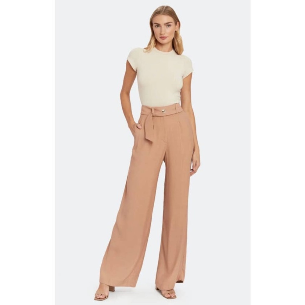 IRO Hastro Belted Wide Leg Pants Old Pink Womens 38 High Rise Trousers. NWT